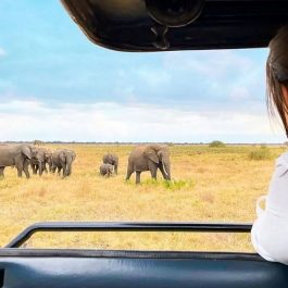 4-Days-Tanzania-short-and-sweet-safari_nalla-tours