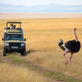 6-Day-Kenya-Tour-and-Safaris