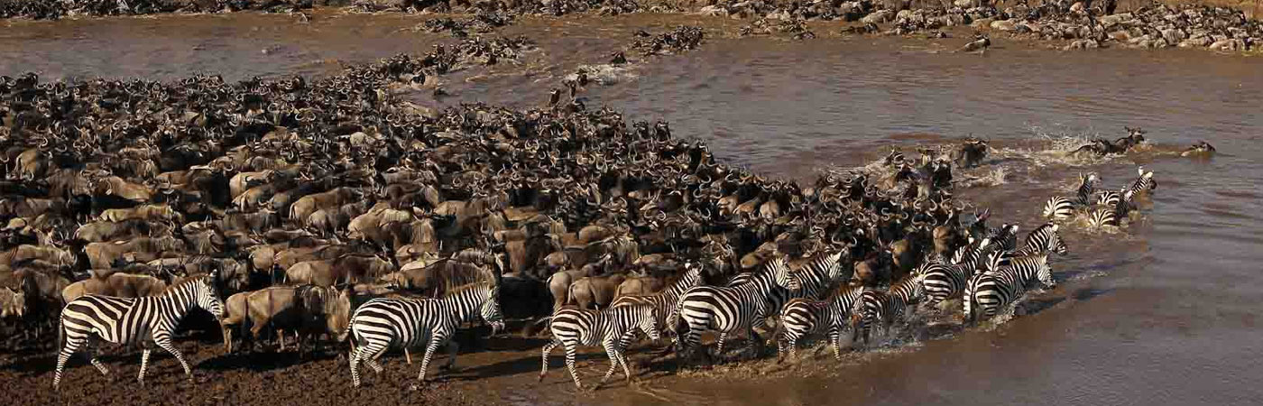 Tanzania-6-days-Great-Serengeti-Migration-Tour
