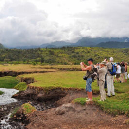 arusha-national-park-day-trip
